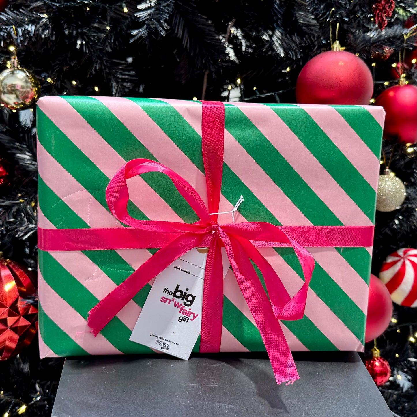 The Ultimate Sn*w Fairy Gift