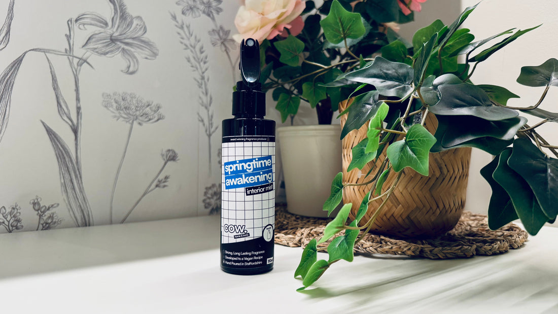 Top 10 Bathroom Scents to Make Your Home Smell Amazing