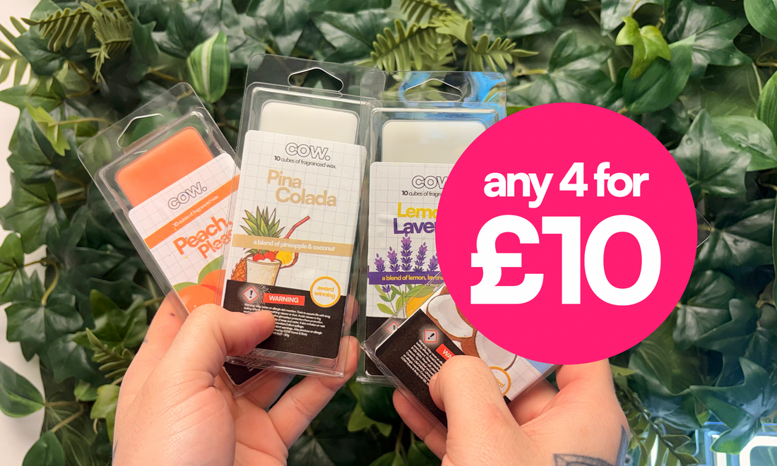 Wax Melts: The Home Fragrance Obsession That Makes Your Entire House Smell Incredible