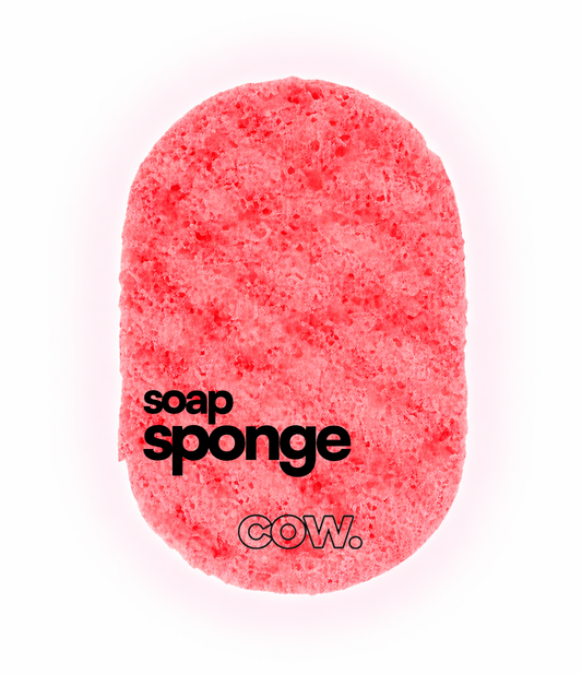 Are Soap Sponges Better Than Loofahs? An Honest Comparison