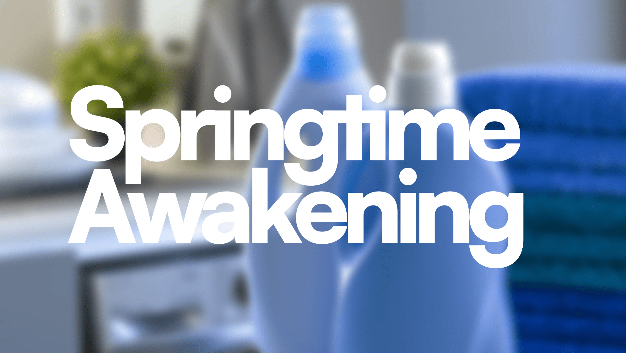 Springtime Awakening