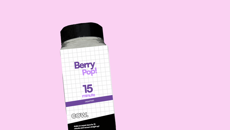 Carpet Fresh & Hoover Discs