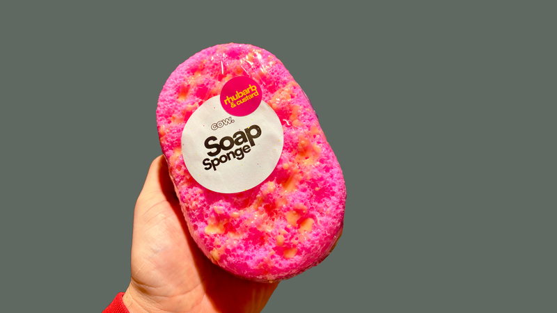 Soap Sponge
