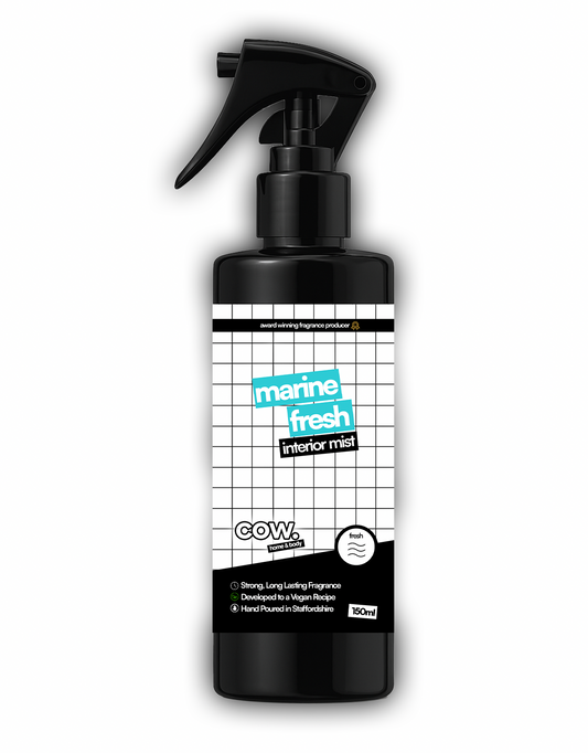 Marine Fresh - 150ml Interior Mist