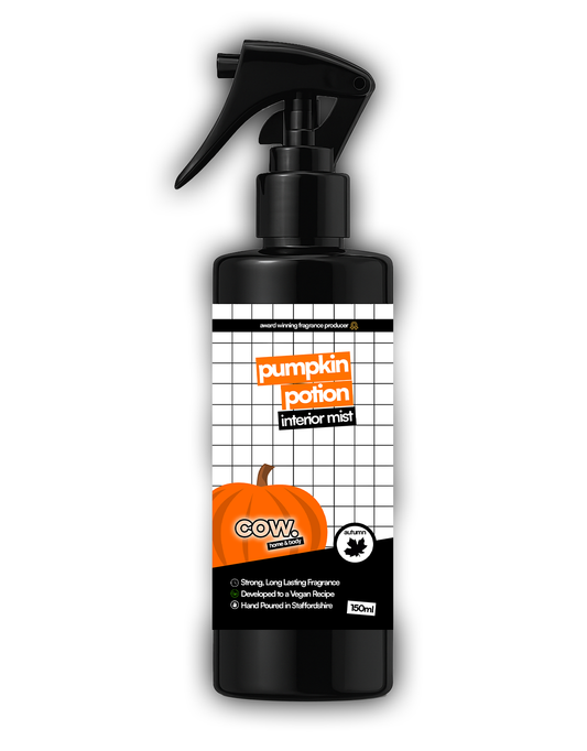 Pumpkin Potion (Pumpkin Spice) - 150ml  Interior Mist